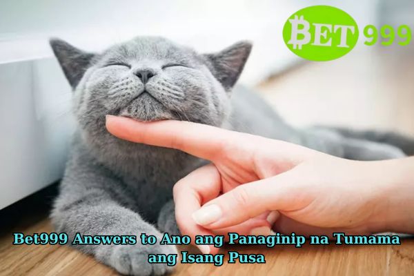 Bet999 Answers to Ano ang Panaginip na Tumama ang Isang Pusa